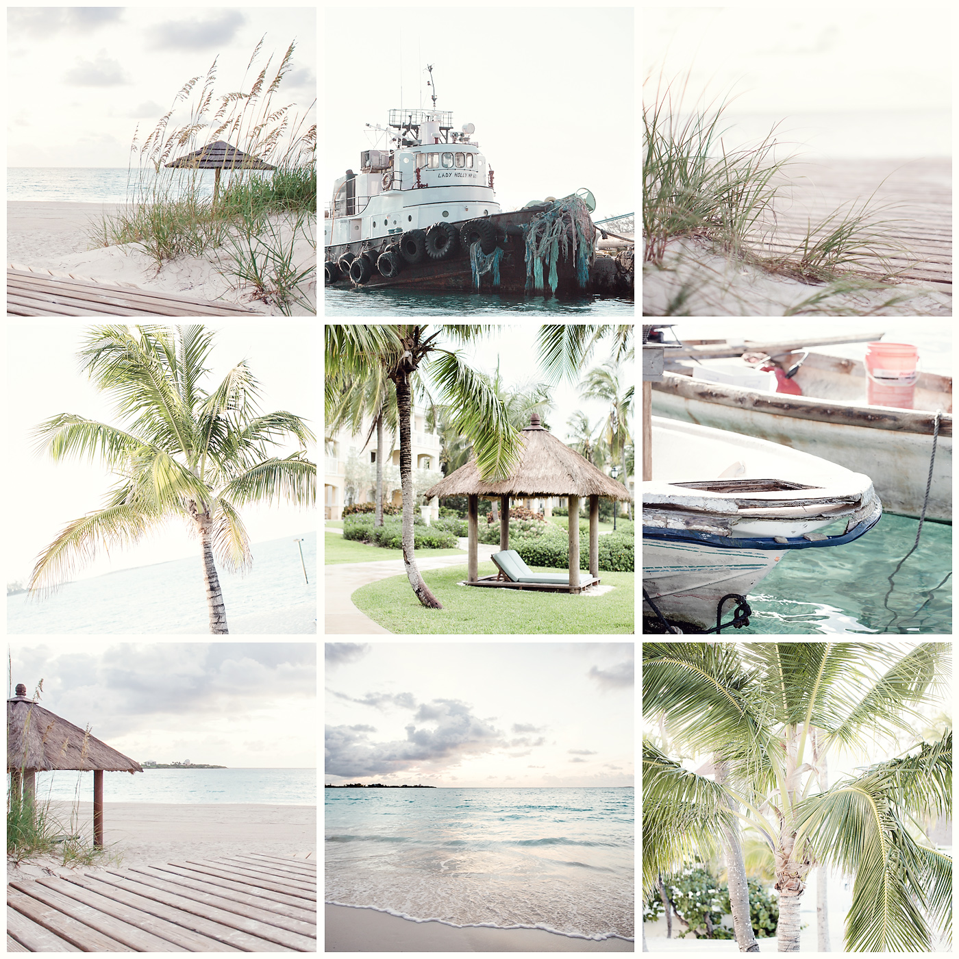 bahamas, the elle in love, exuma, palm tree, sand, beach, vacation, serene