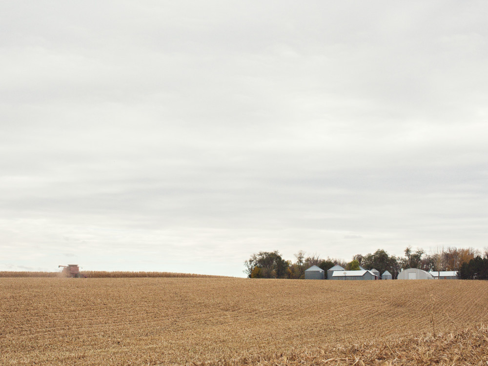 harvest 2014