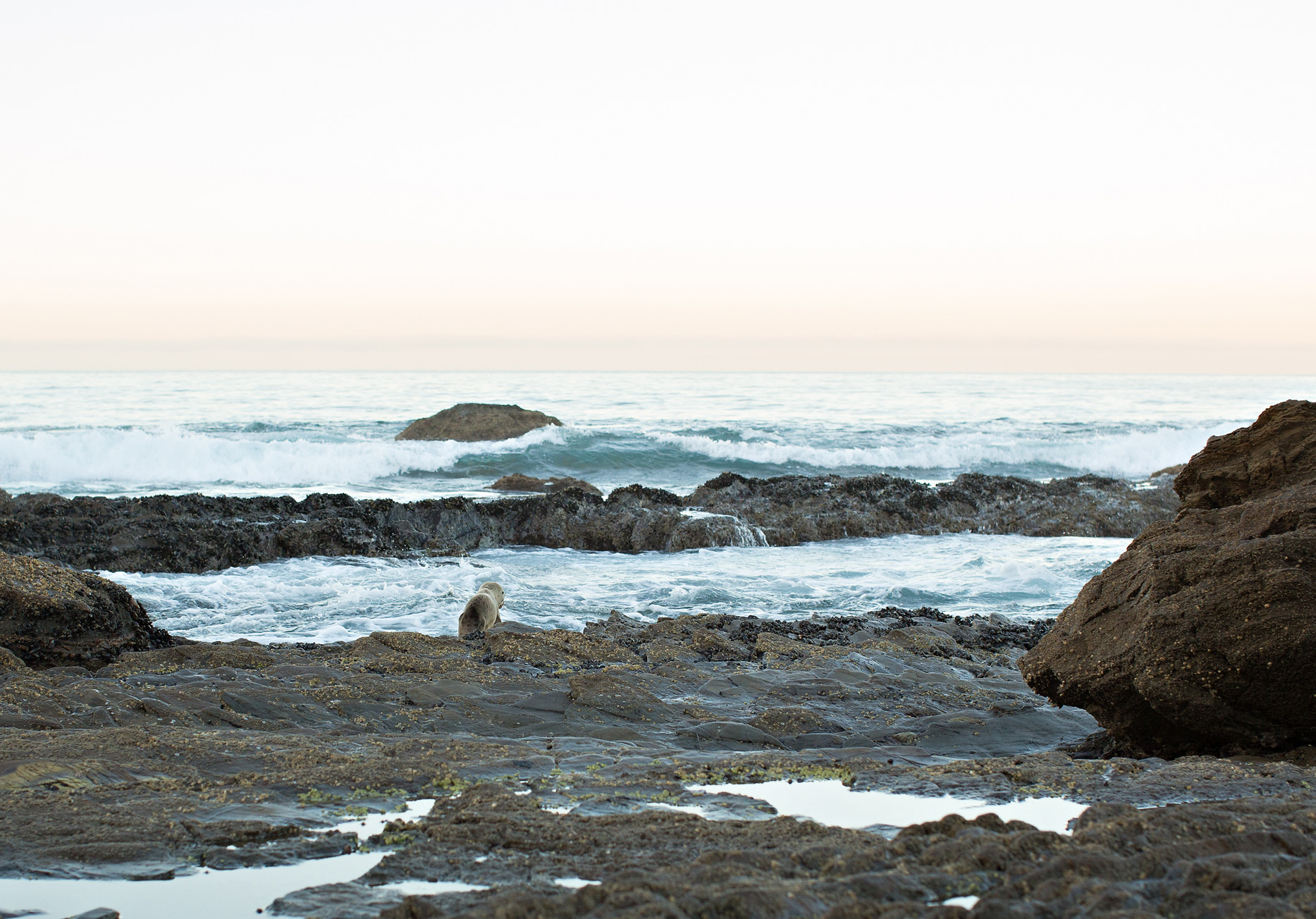 the elle in love, crystal cove state park, california, sunrise on the beach, intentional marriage