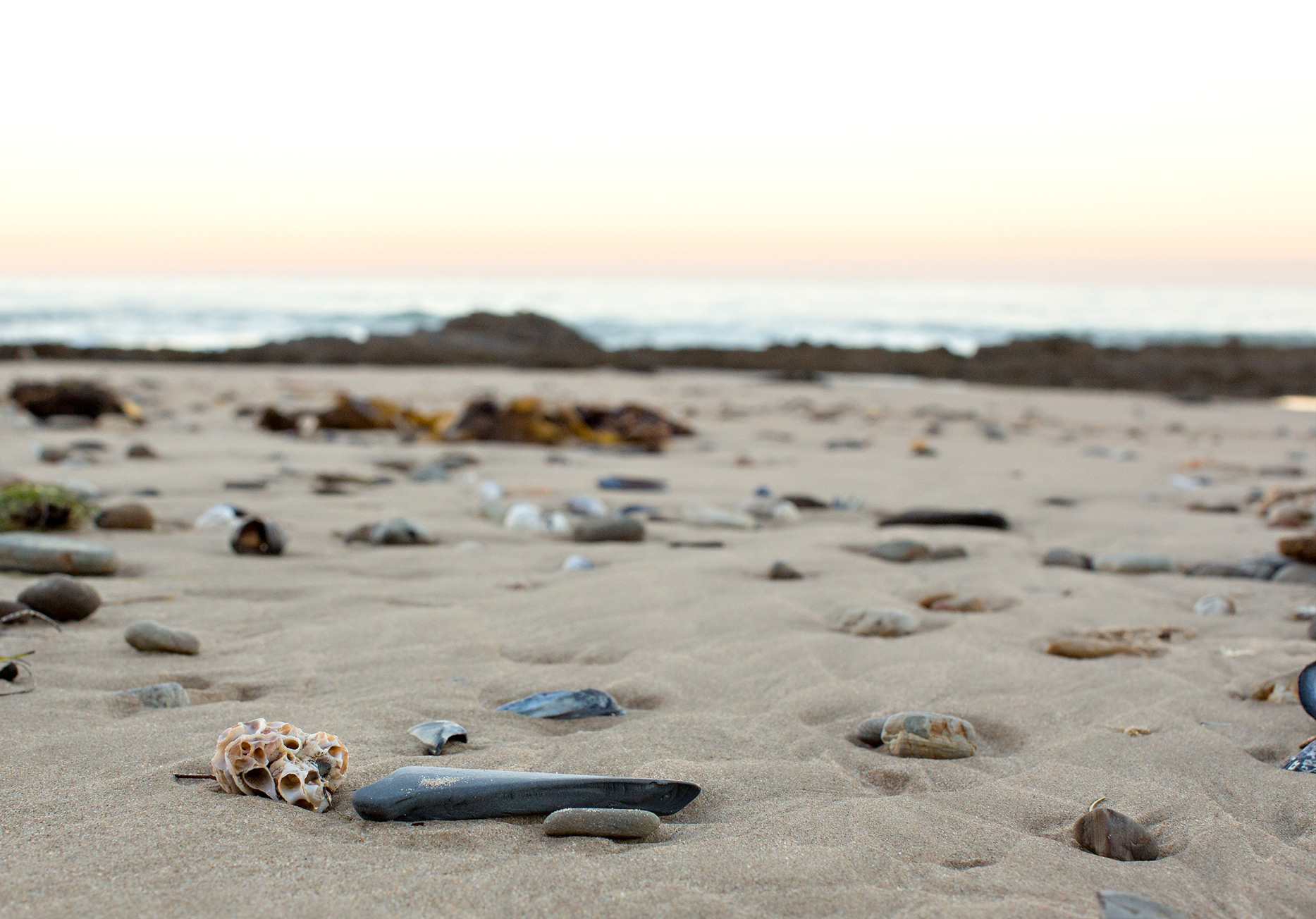 the elle in love, crystal cove state park, california, sunrise on the beach, intentional marriage