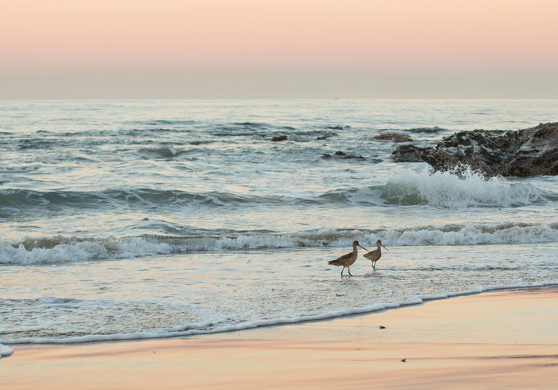 the elle in love, crystal cove, california, sunrise, beach