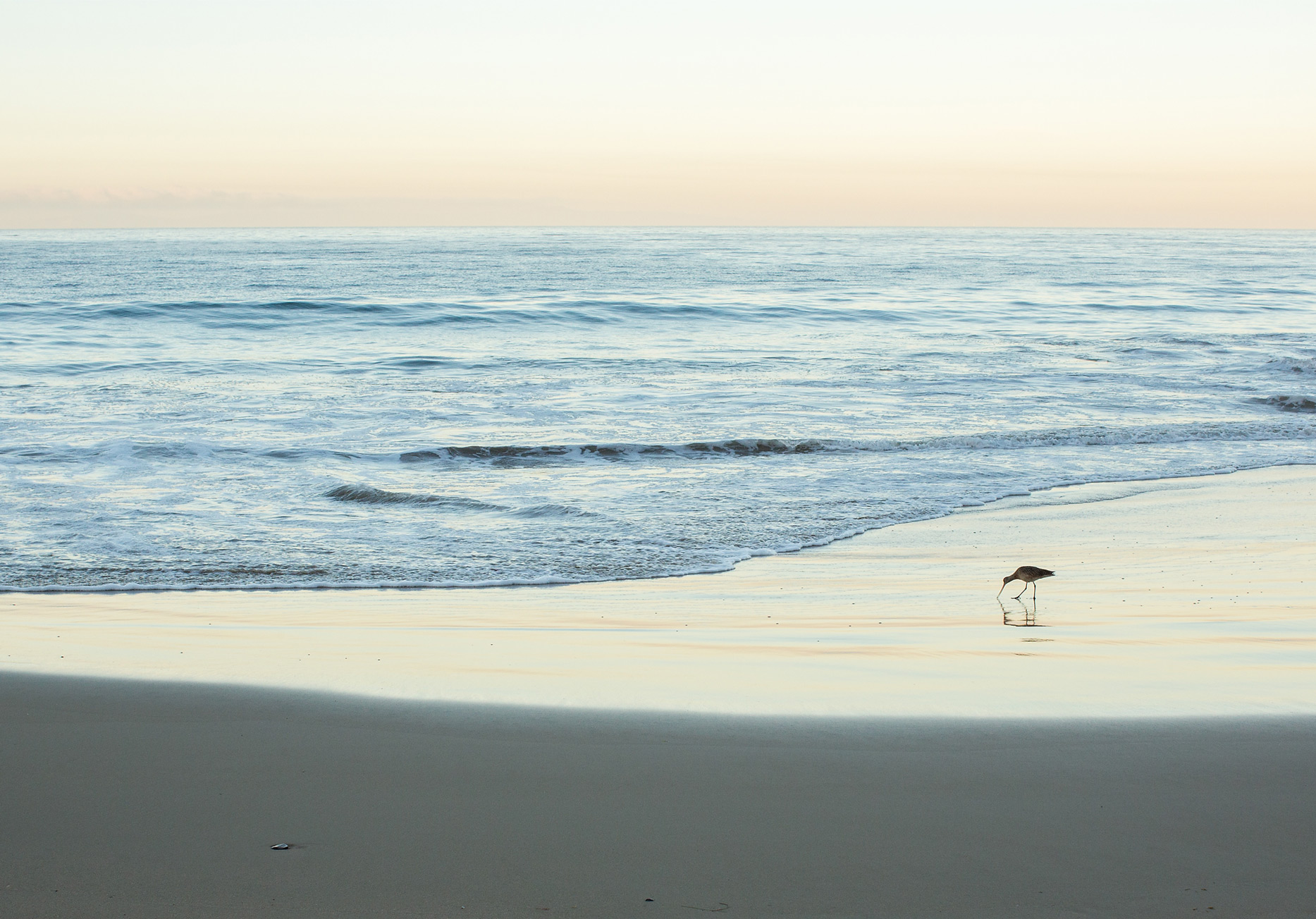 the elle in love, crystal cove state park, california, sunrise on the beach, intentional marriage