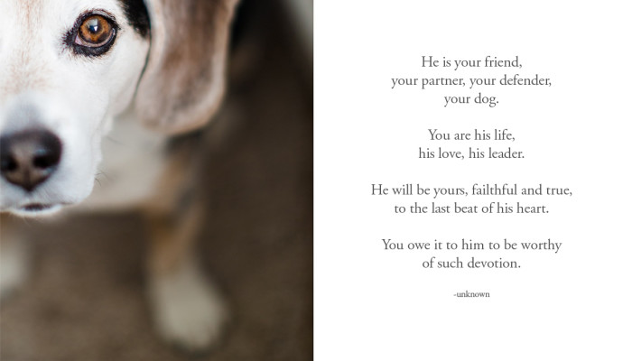 a letter to our dog